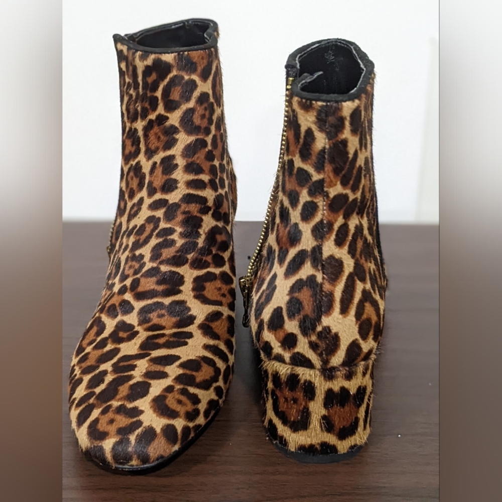 Ann Taylor: Ankle Bootie, Leopard Print - image 1